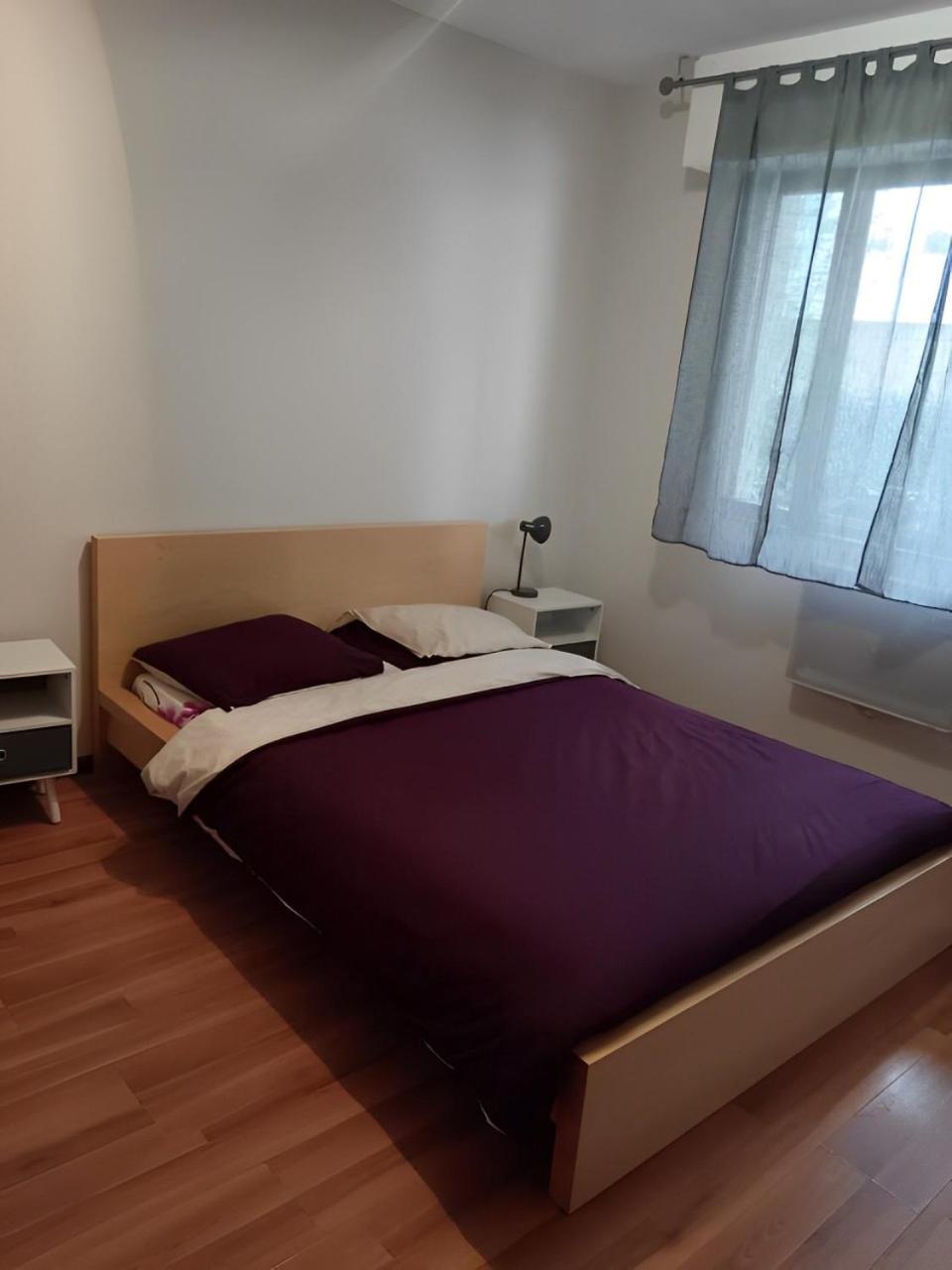 Appartement Cosy A 斯特拉斯堡 外观 照片